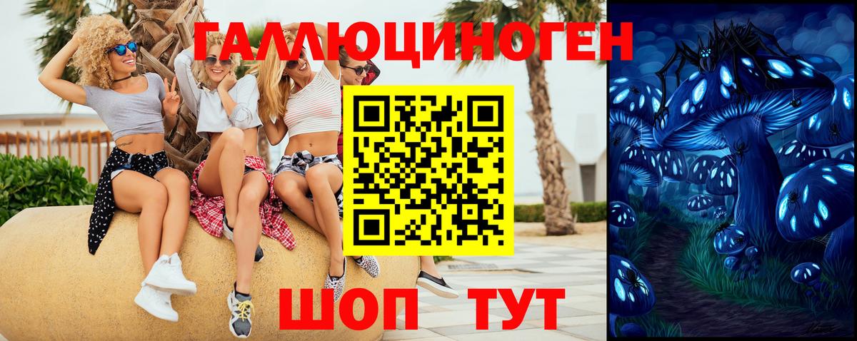 Галлюциногенные грибы мицелий Малгобек